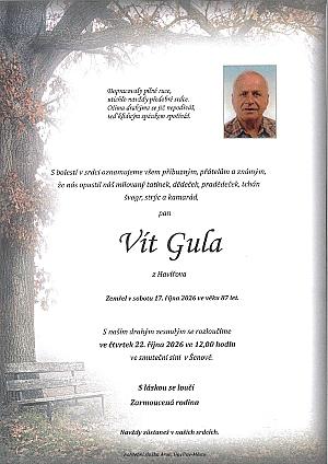 Vít  Gula