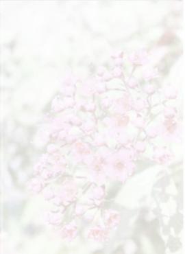 Vzory smutečních oznámení