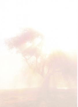 Vzory smutečních oznámení